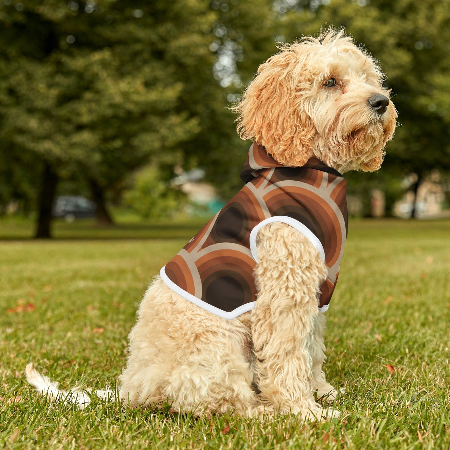 Personalized Retro Hippie Disco Print Pet Hoodie