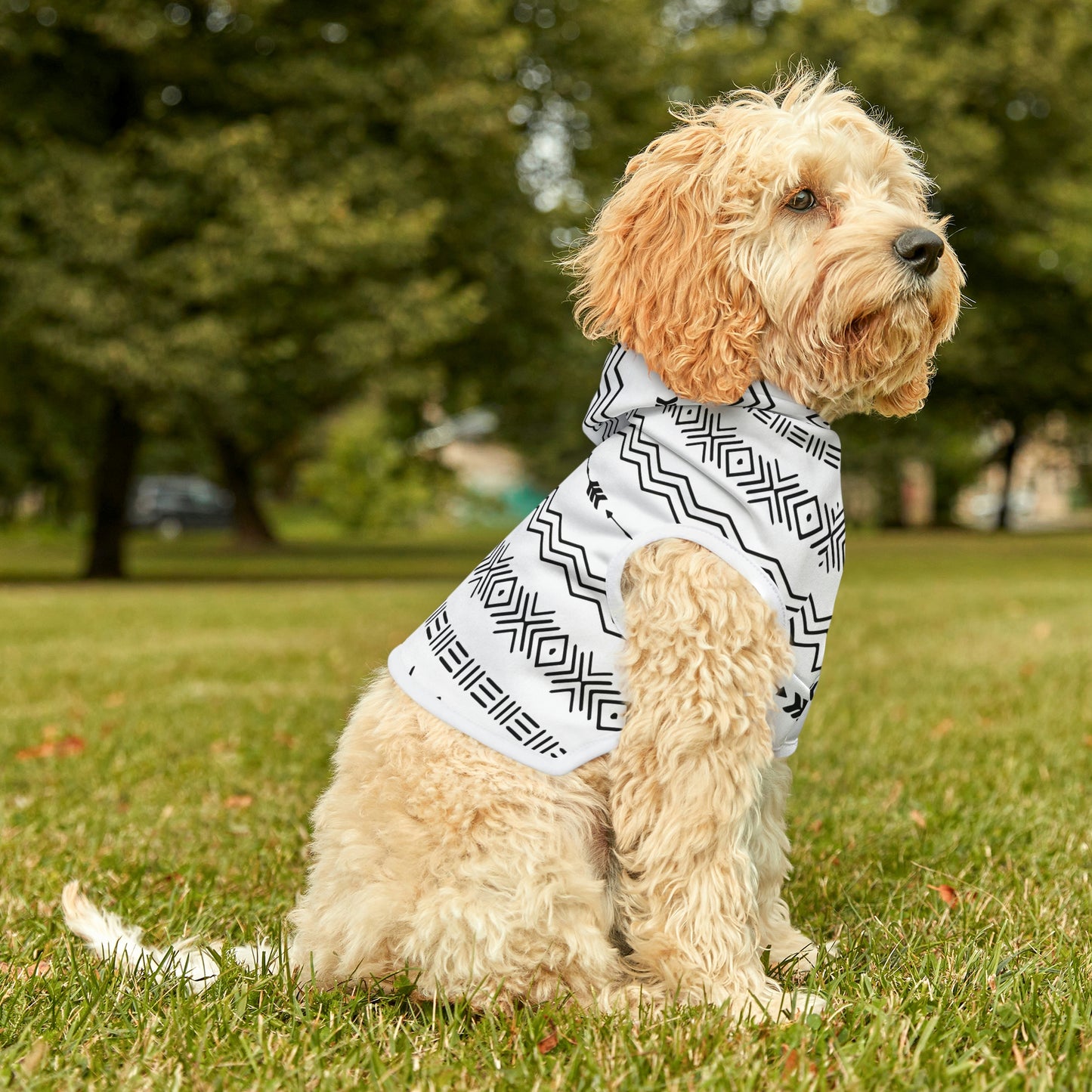 Personalized Western Boho White Pet Hoodie