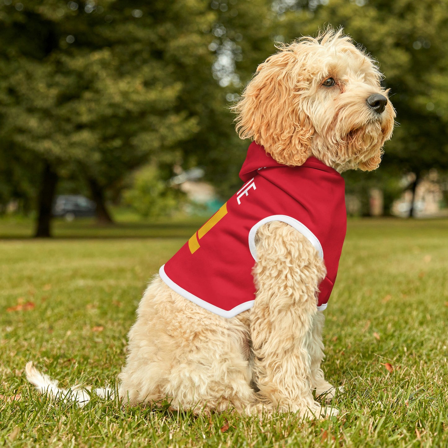 Personalized Kansas City Chiefs Pet Hoodie