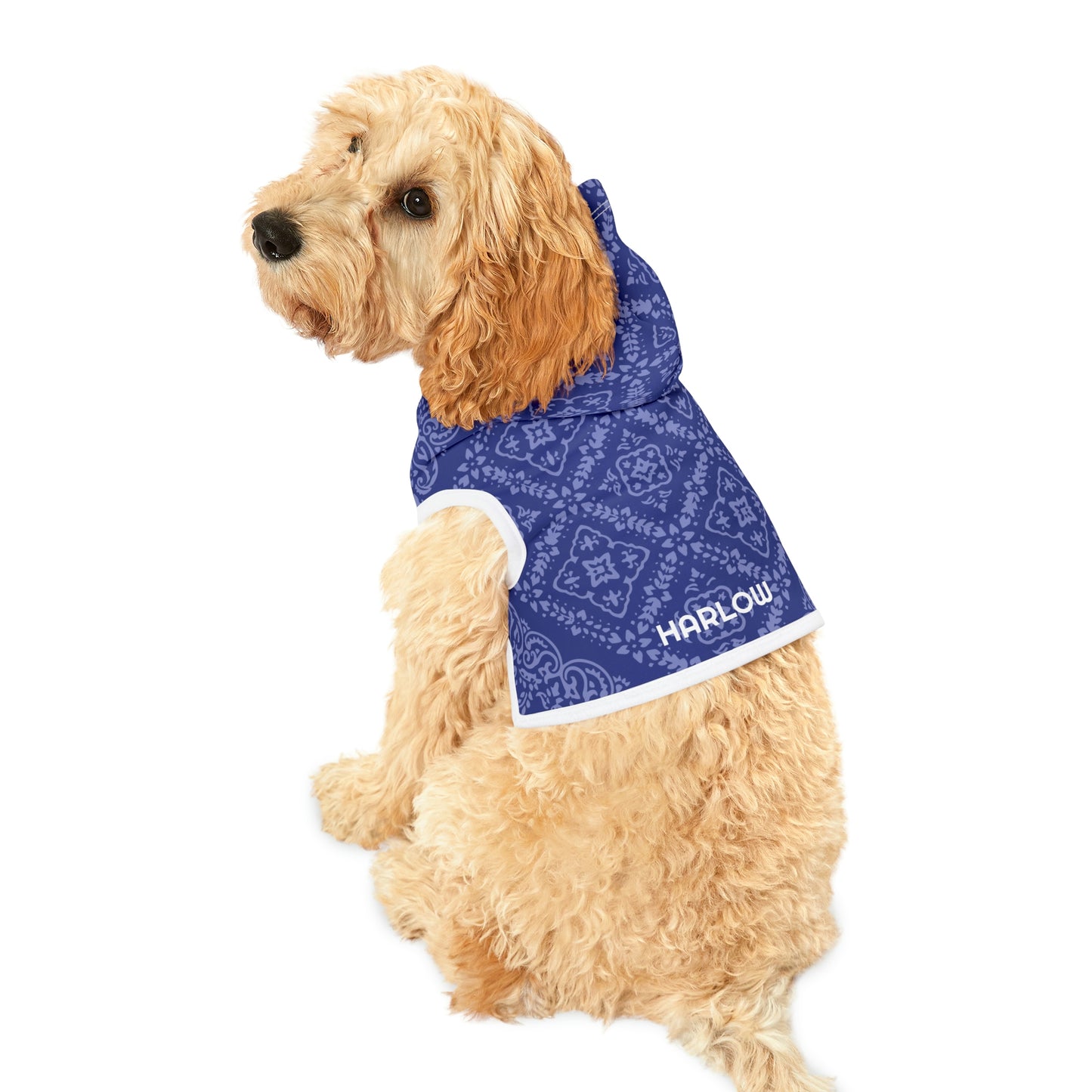 Personalized Western Blue Paisley Pet Hoodie