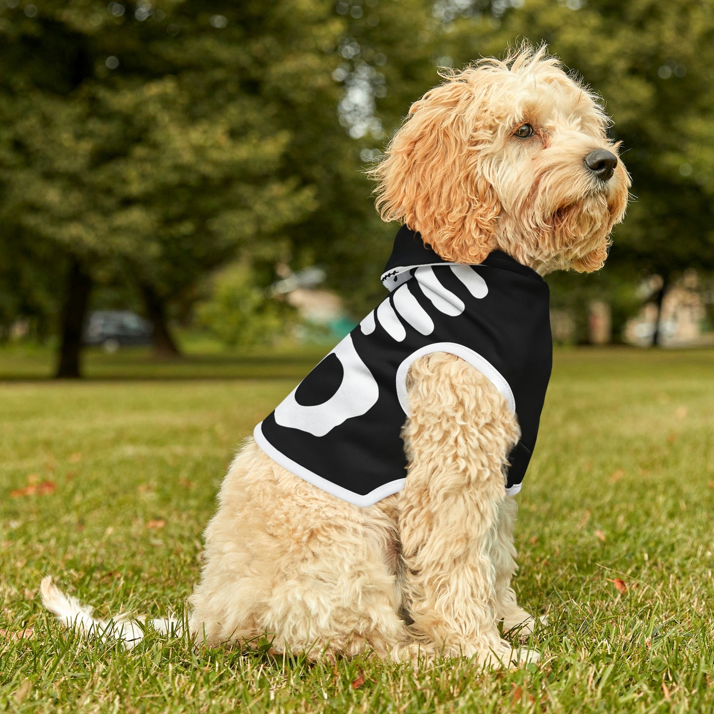 Personalized Goth Punk Skeleton Pet Hoodie