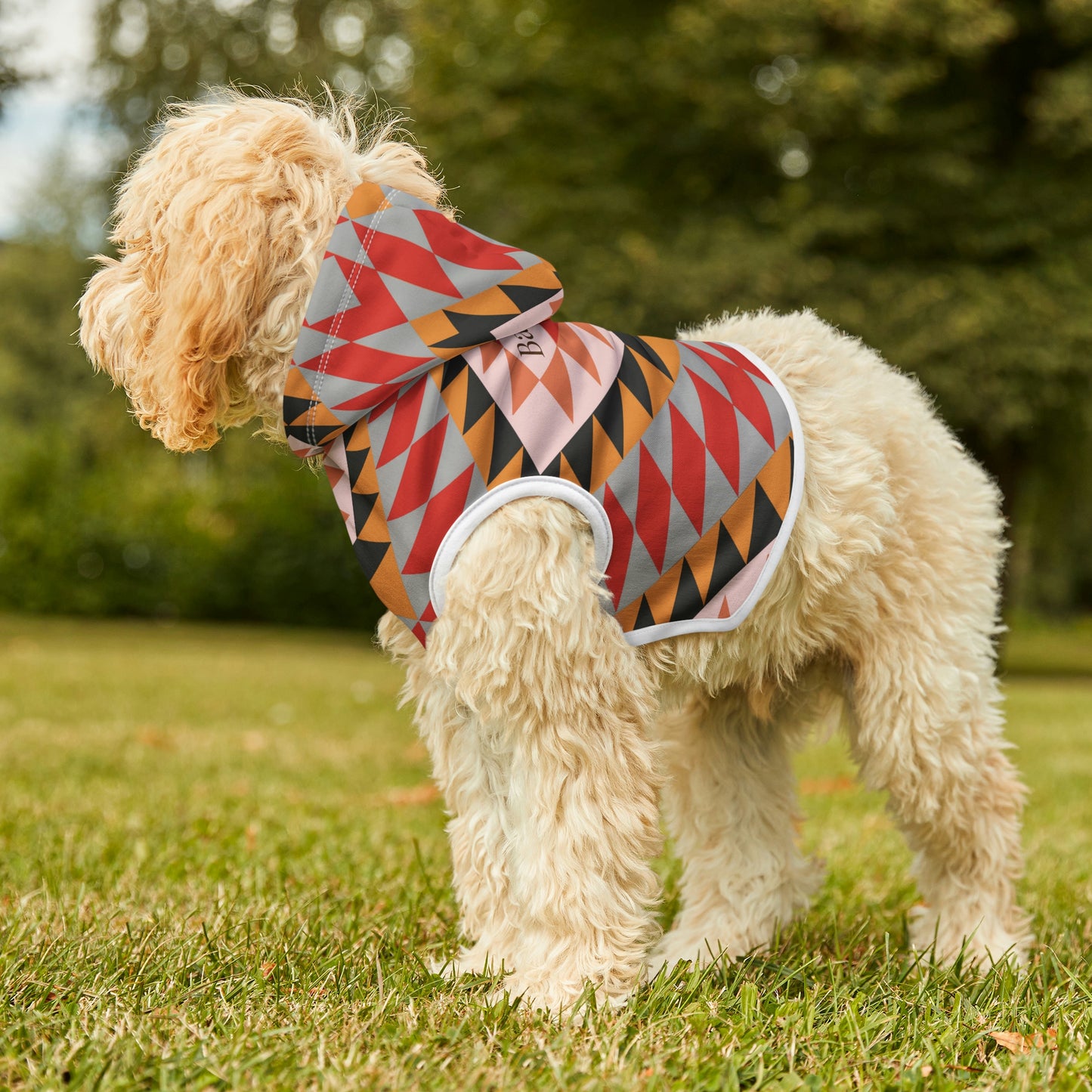 Personalized Western Boho Dusty Rose Pet Hoodie