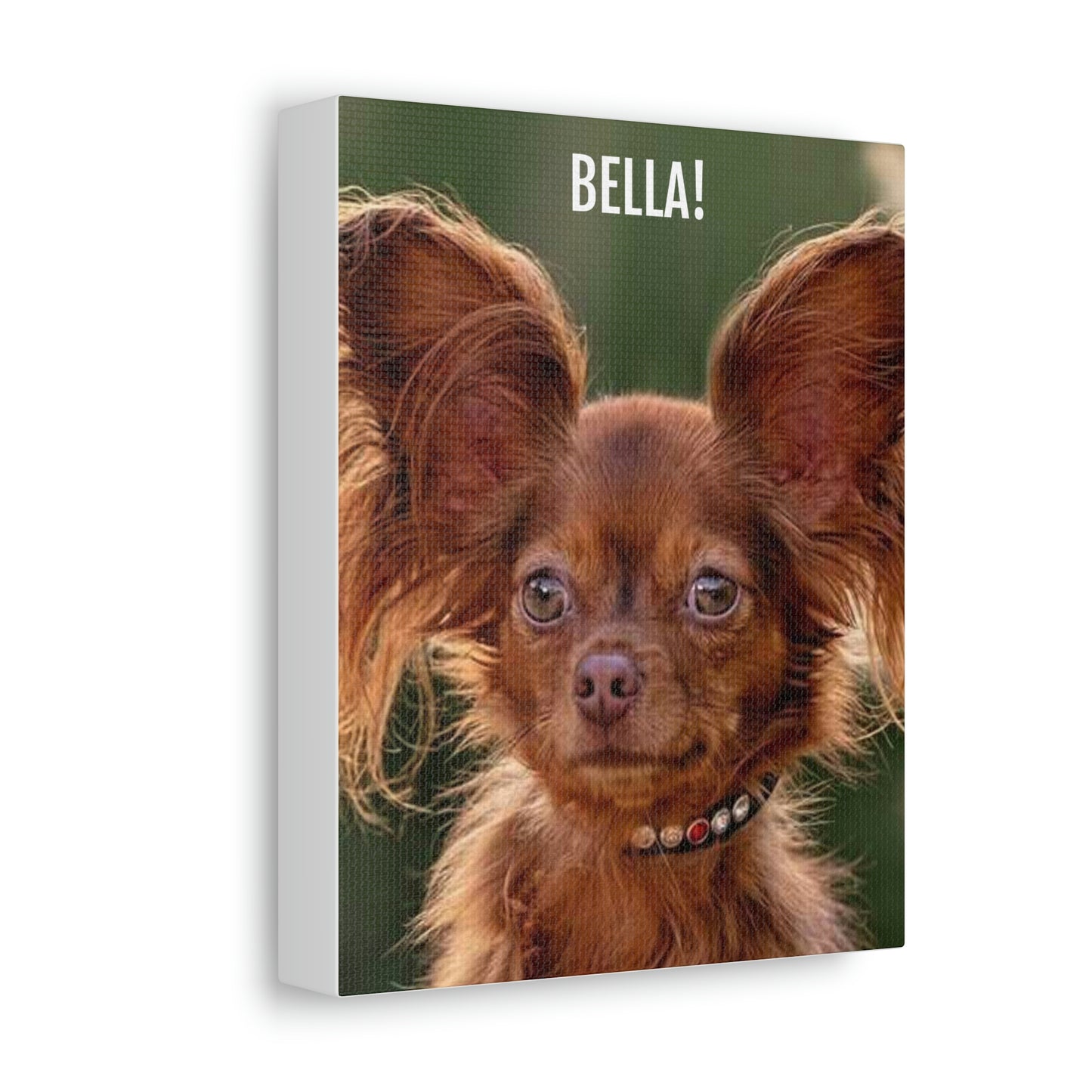 Personalized Pet Portrait on Stretched Satin Canvas