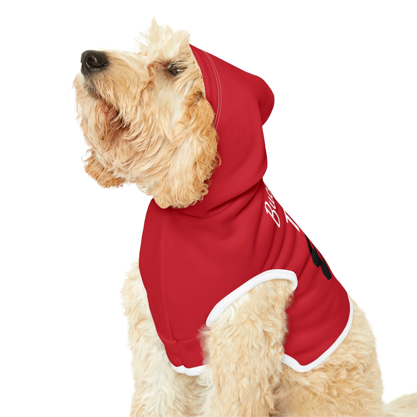 Personalized Tampa Bay Buccaneers Pet Hoodie