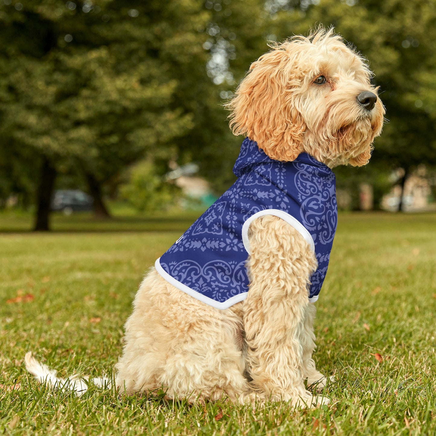 Personalized Western Blue Paisley Pet Hoodie