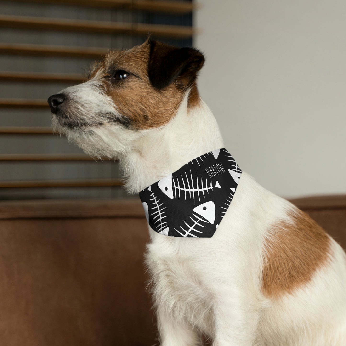 Personalized goth Punk Fish Bone Pet Bandana Collar