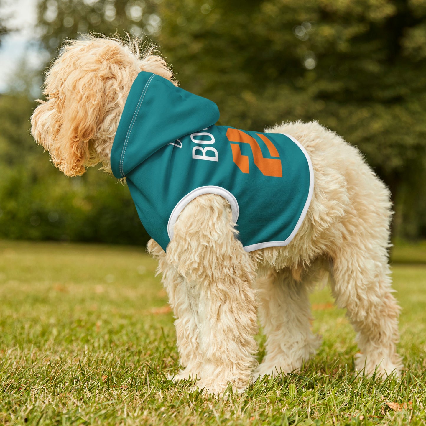 Personalized Miami Dolphins Pet Hoodie