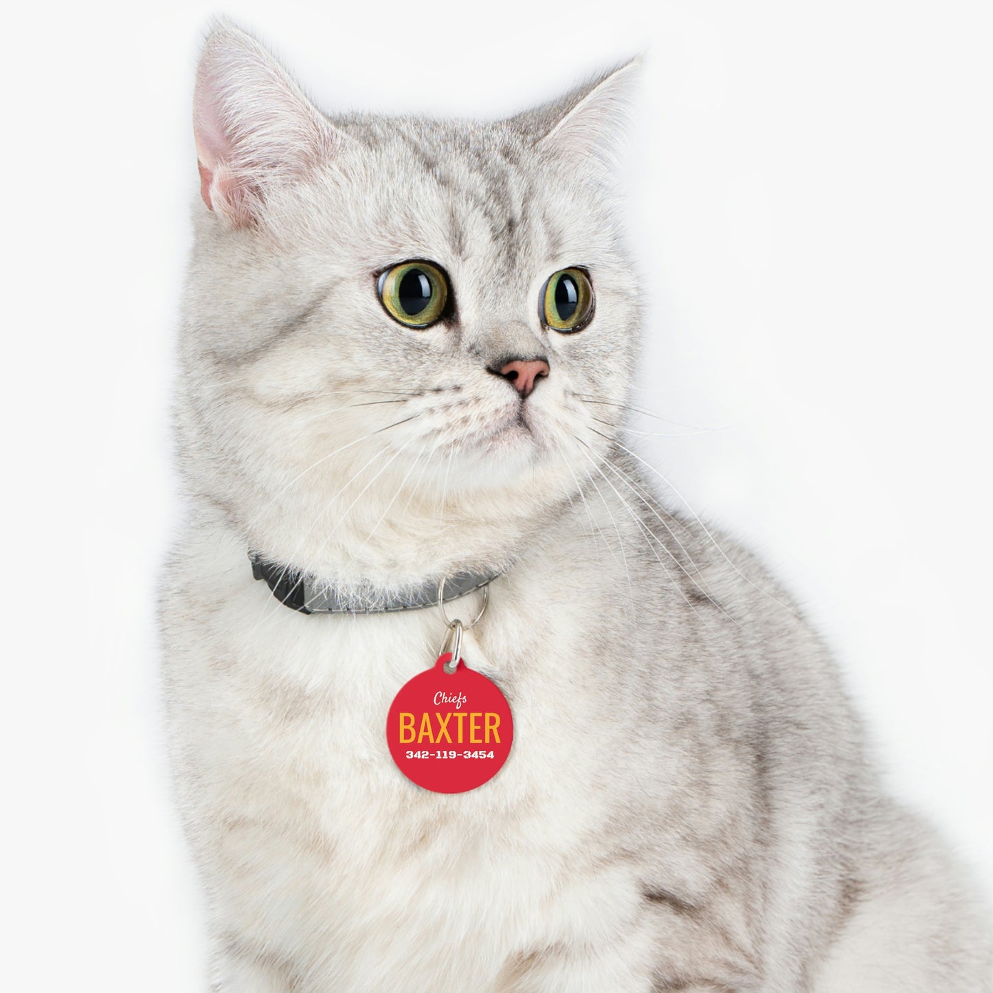 Kansas City Chiefs Cat Pet Collar