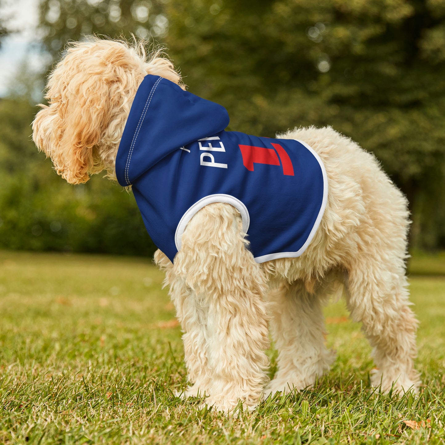 Personalized New England Patriots Pet Hoodie