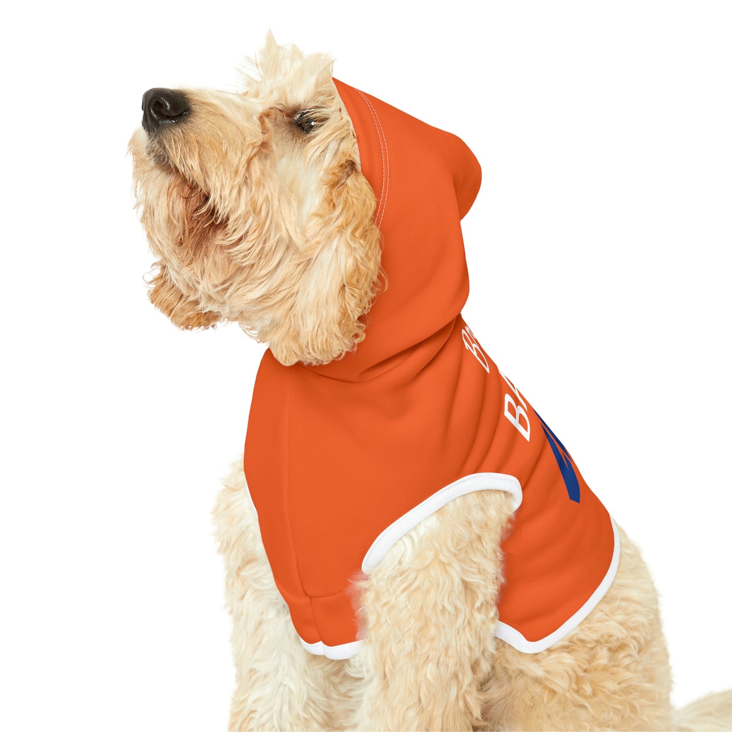 Personalized Denver Broncos Pet Hoodie