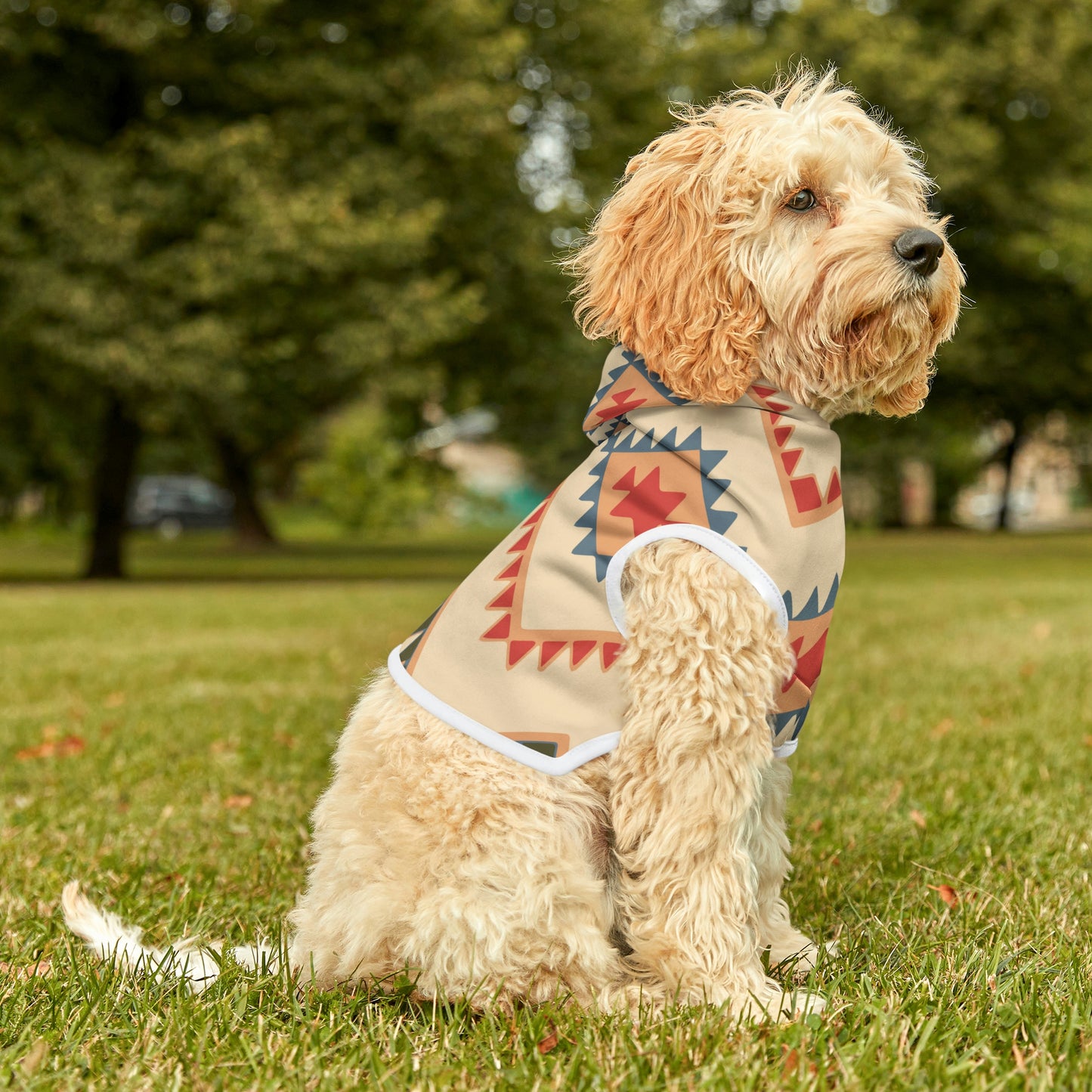 Personalized Western Boho Tan Pet Hoodie