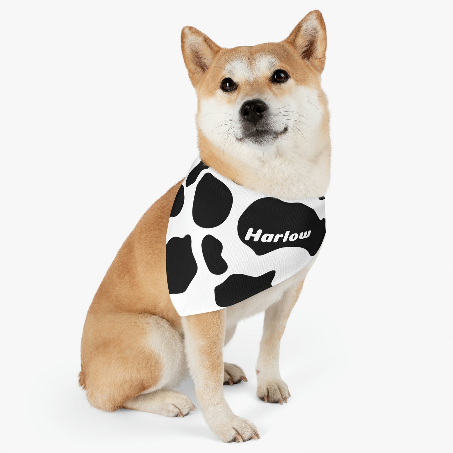 Personalized Western Boho Cow Print Pet Bandana Collar