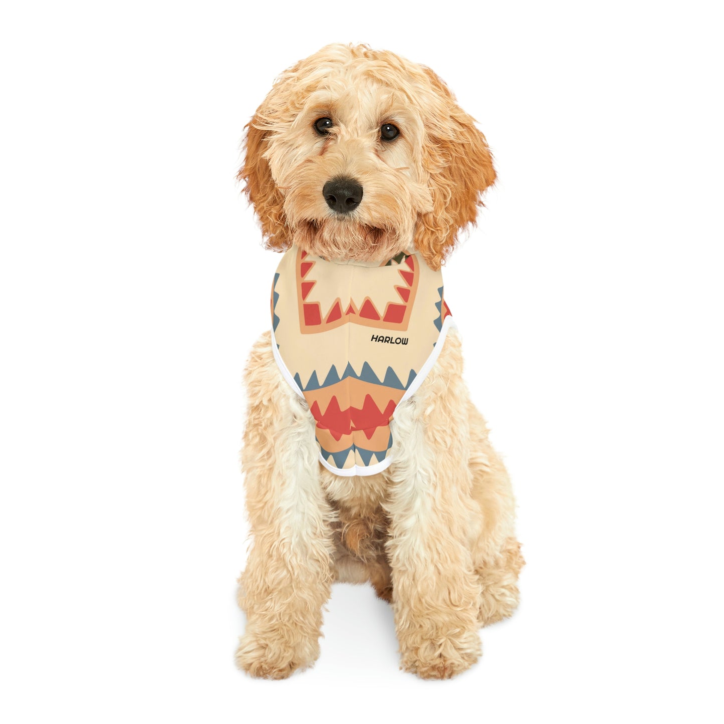 Personalized Western Boho Tan Pet Hoodie