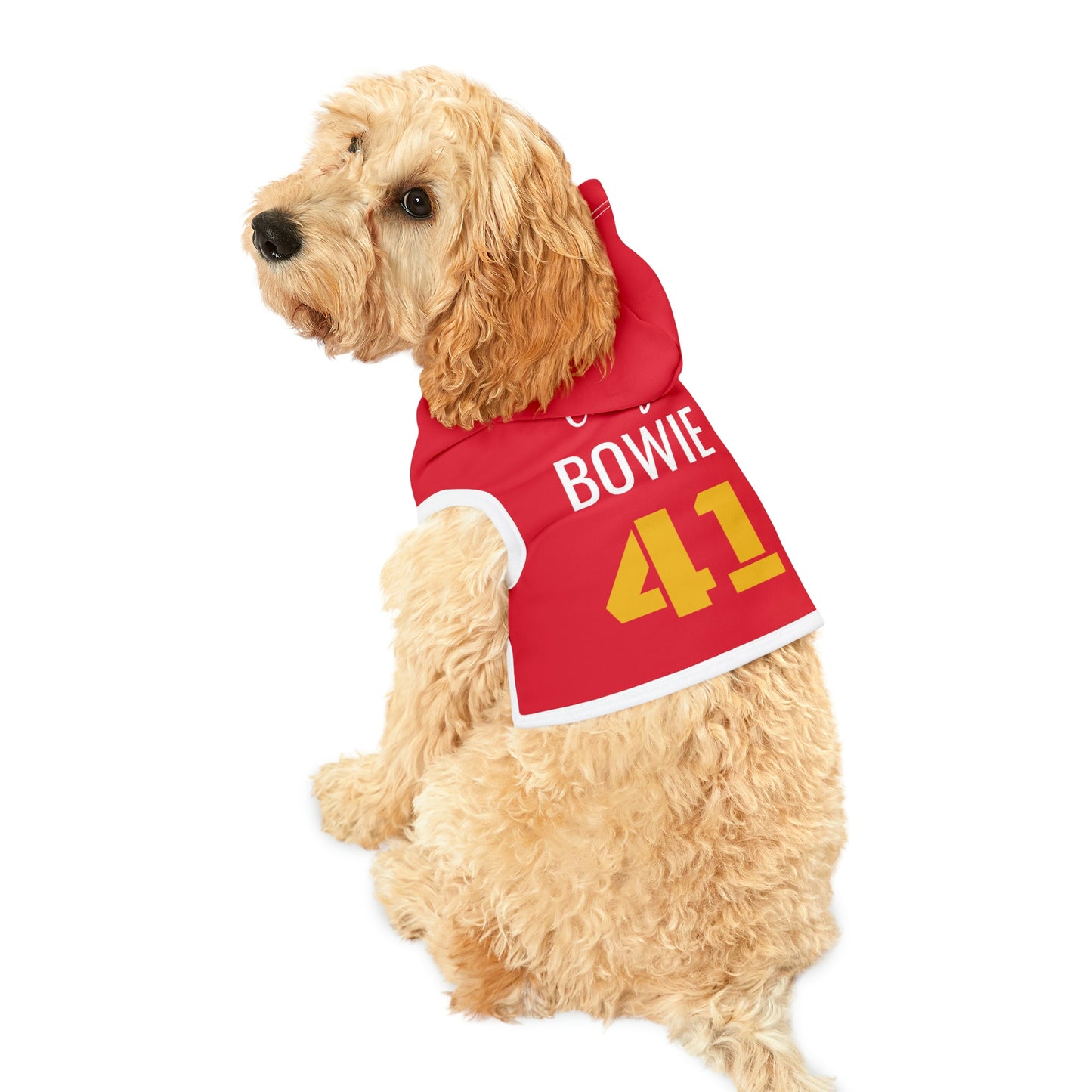 Personalized Kansas City Chiefs Pet Hoodie