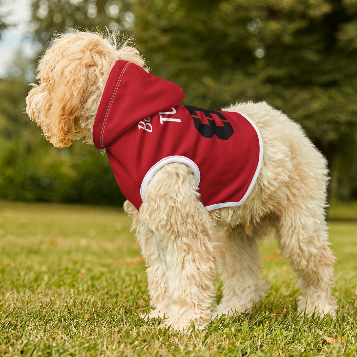 Personalized Tampa Bay Buccaneers Pet Hoodie