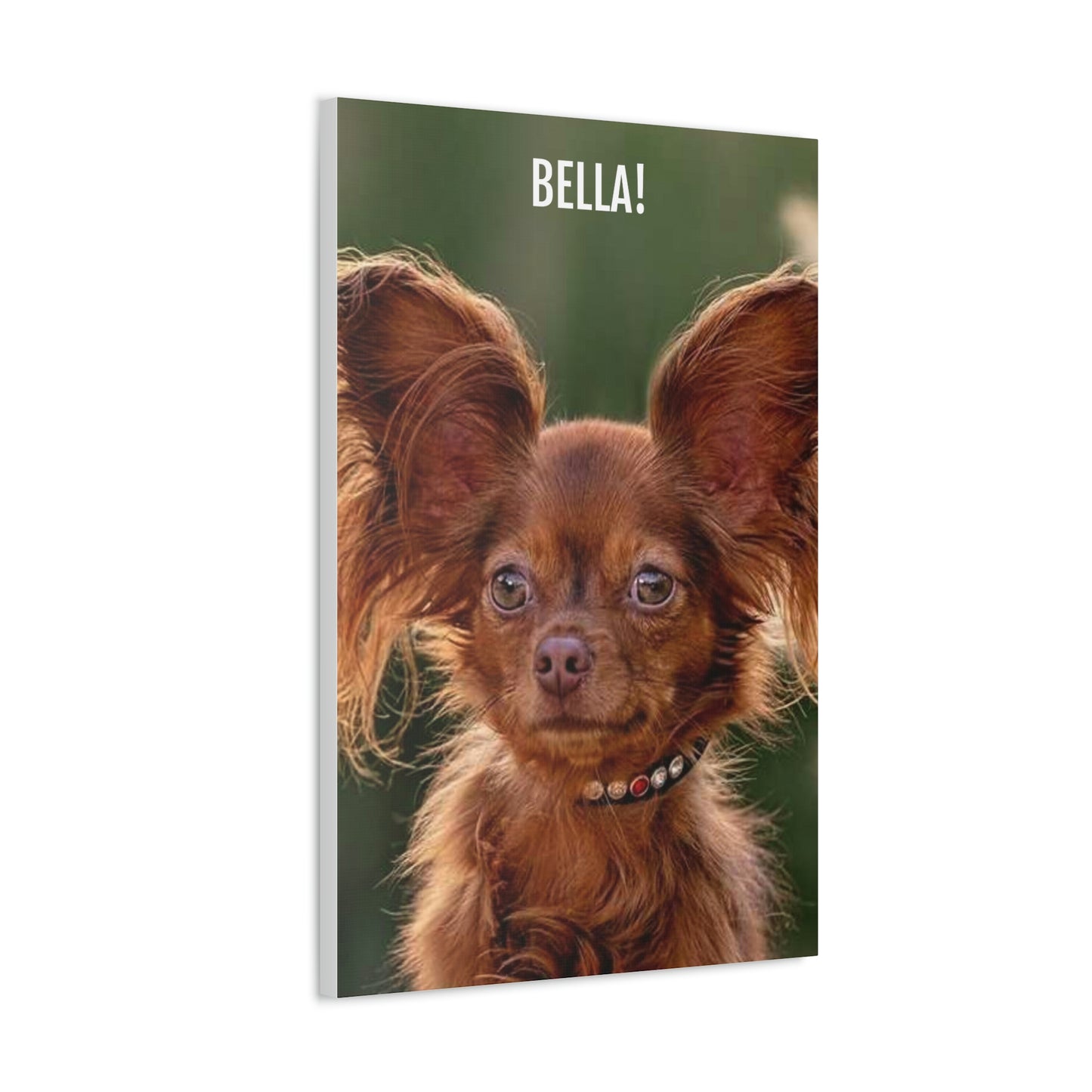 Personalized Pet Portrait on Stretched Satin Canvas