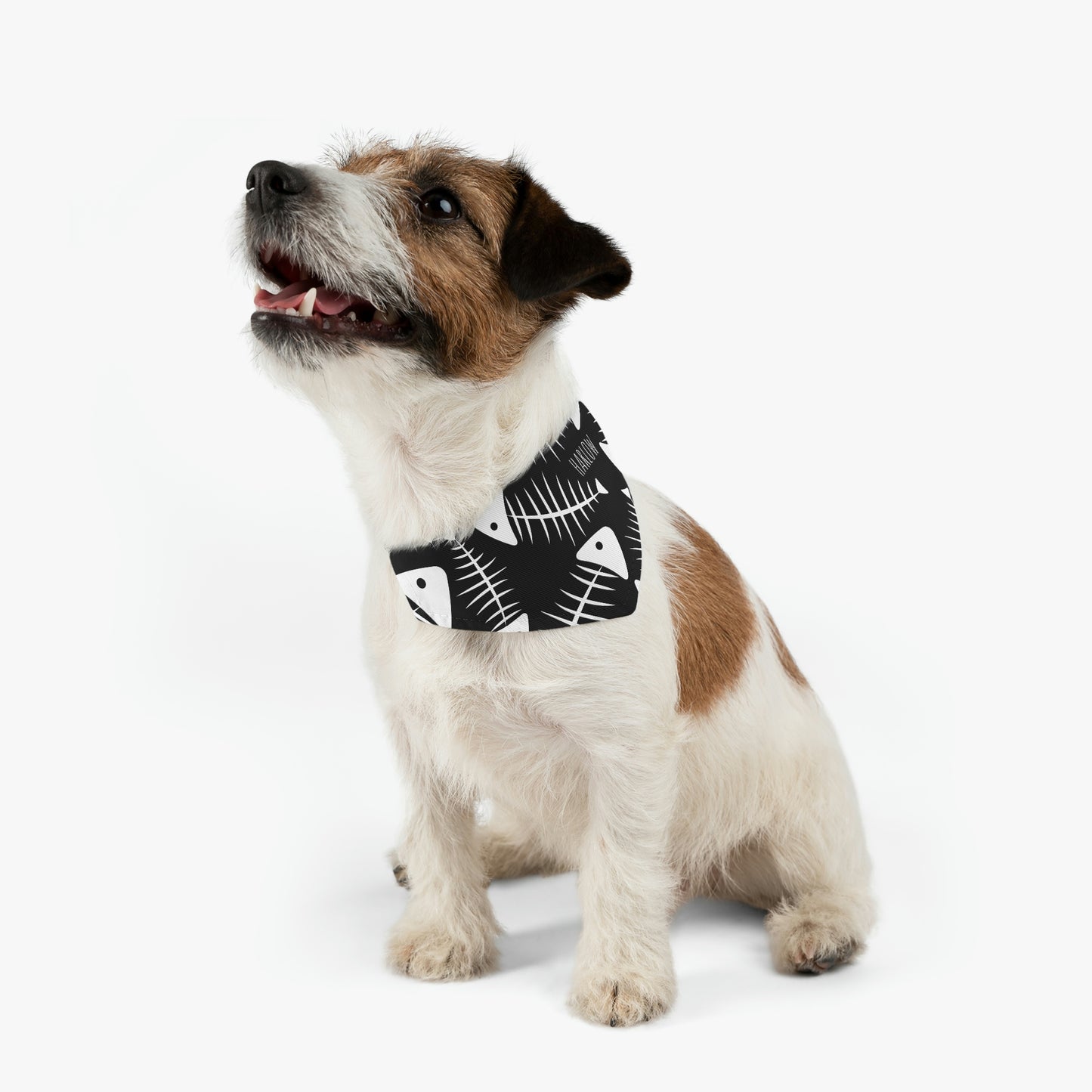 Personalized goth Punk Fish Bone Pet Bandana Collar