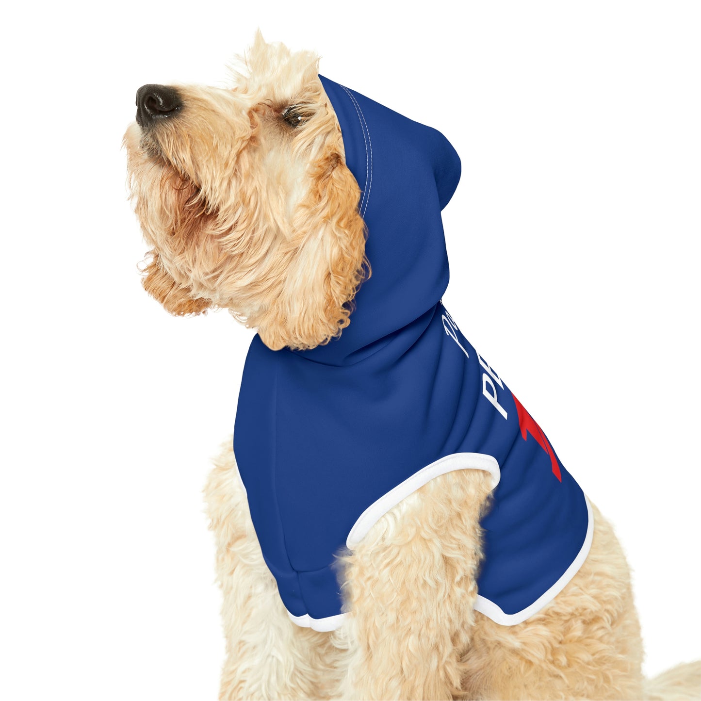 Personalized New England Patriots Pet Hoodie