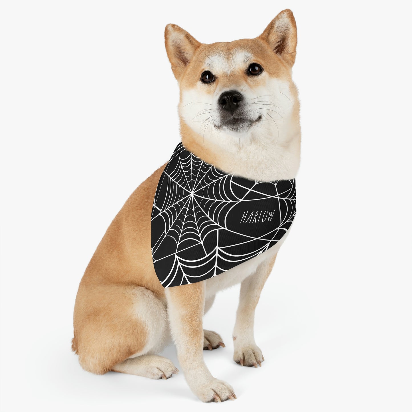 Personalized Goth Punk Spider Web Pet Bandana Collar