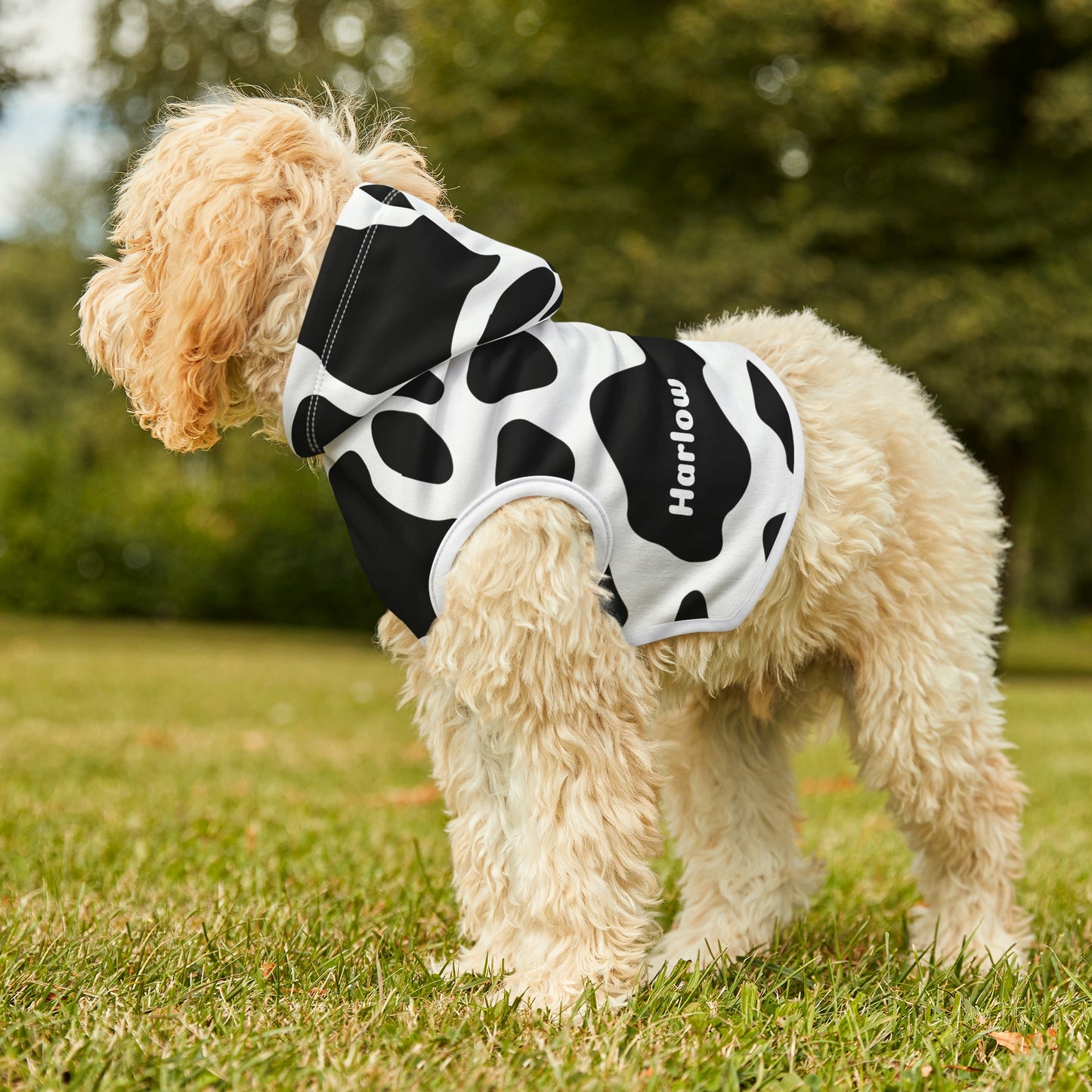 Personalized Western Cow Print Pet Hoodie