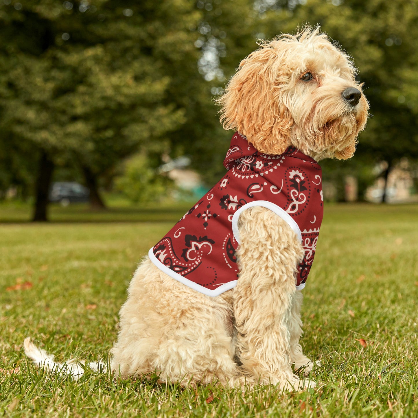 Personalized Western Red Paisley Pet Hoodie