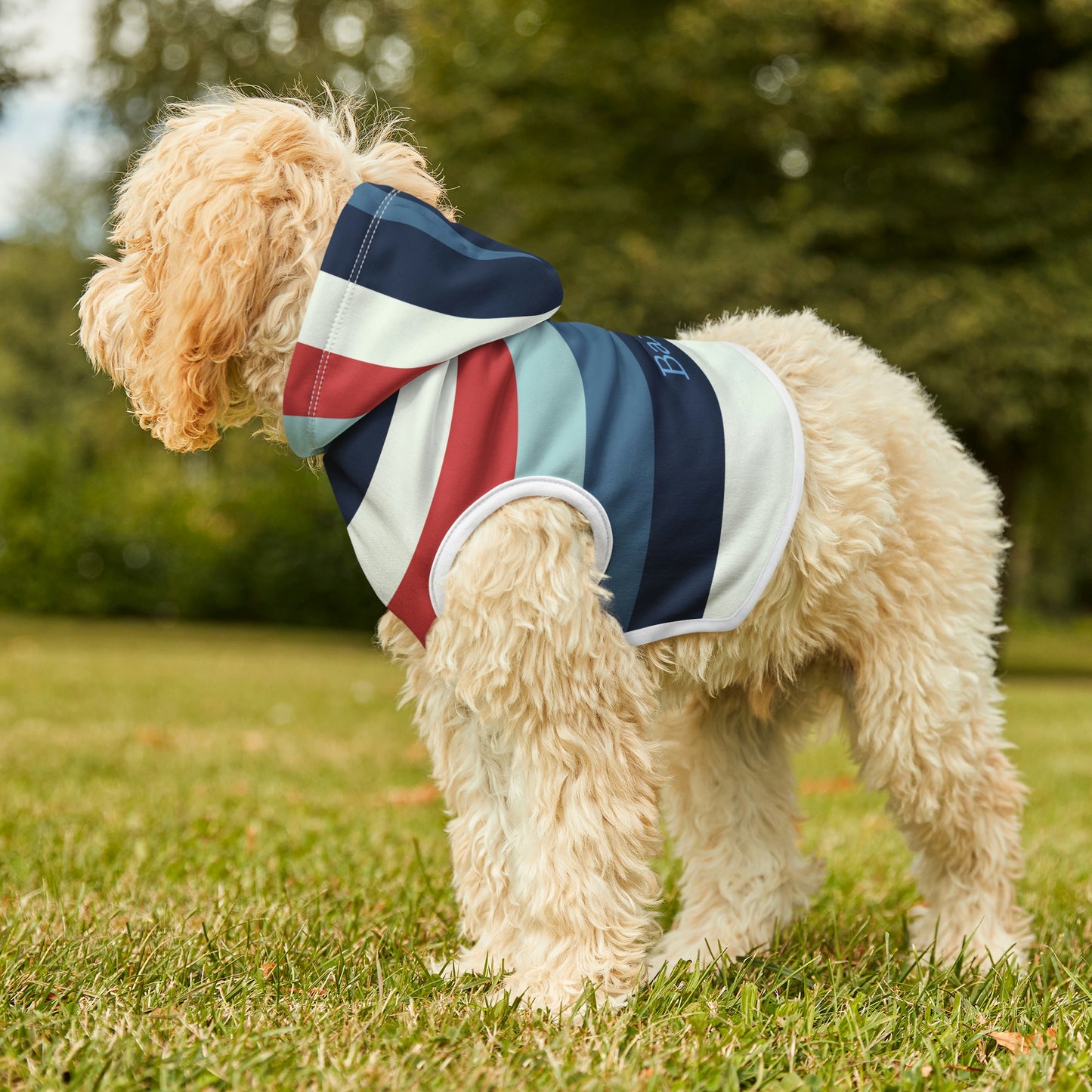 Personalized Classic Americana Stripe Pet Hoodie