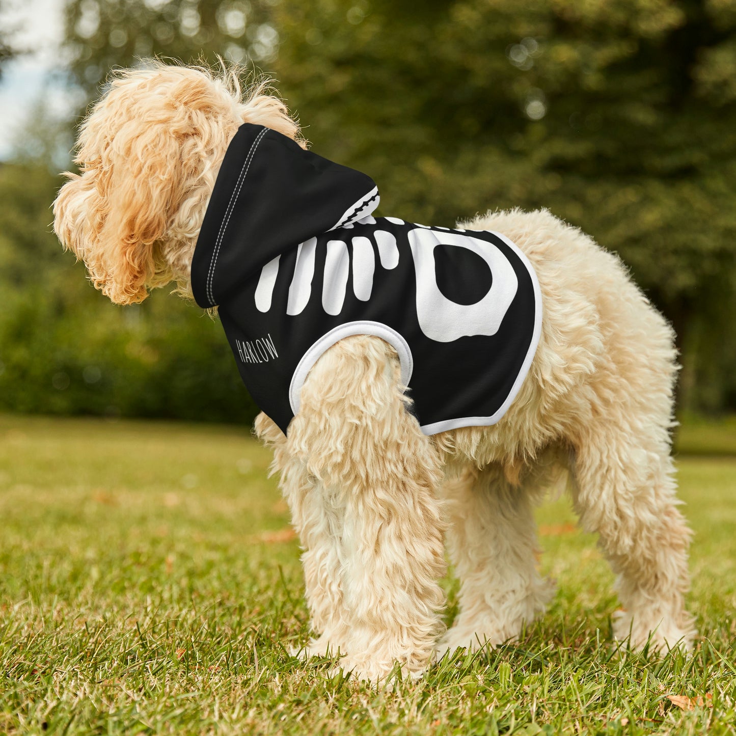 Personalized Goth Punk Skeleton Pet Hoodie