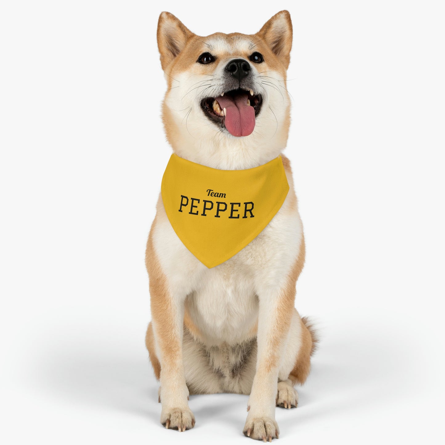 Personalized Pet Sports Team Bandana Collar