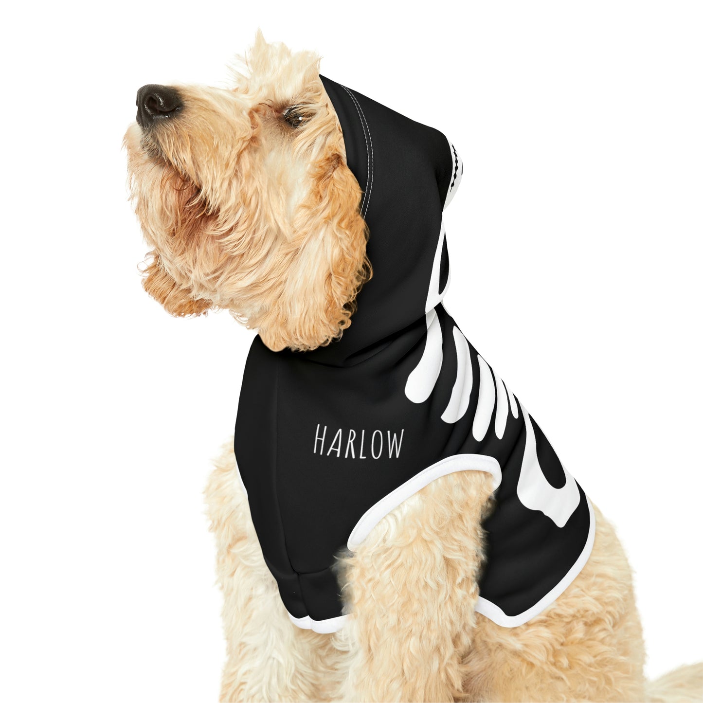 Personalized Goth Punk Skeleton Pet Hoodie