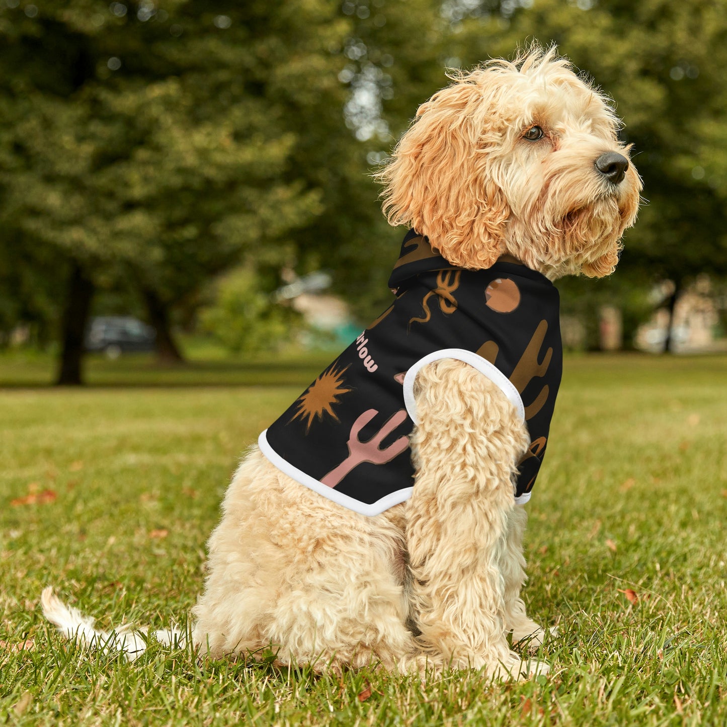 Personalized Western Desert Print Pet Hoodie