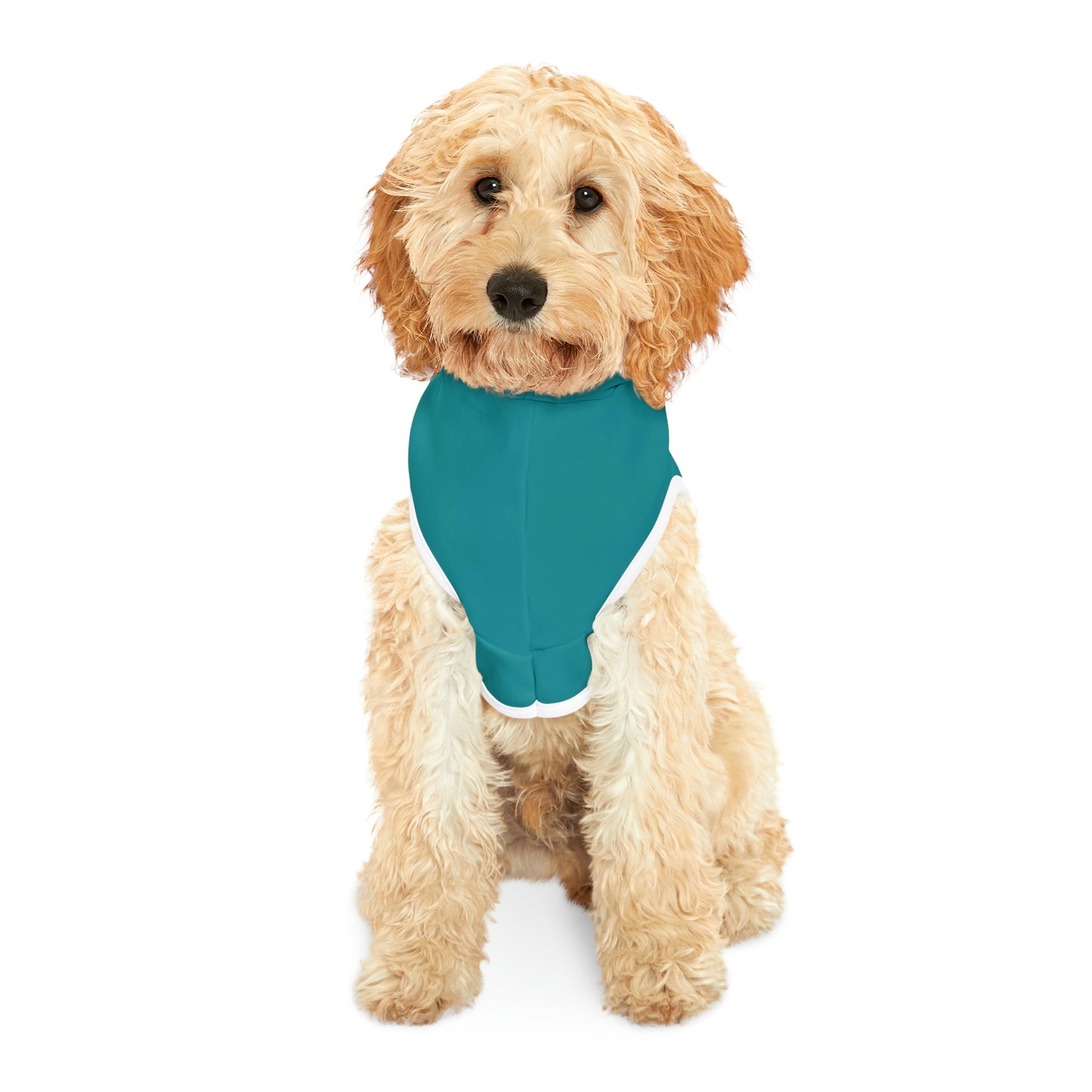 Personalized Miami Dolphins Pet Hoodie