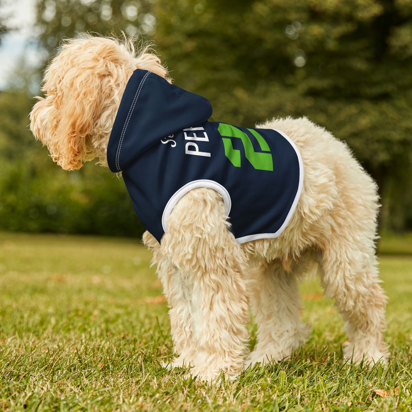Personalized Seattle Seahawks Pet Hoodie