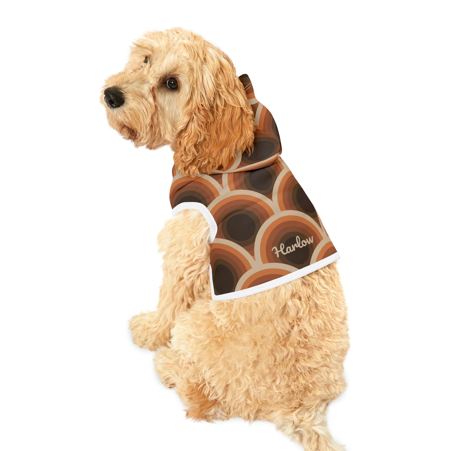 Personalized Retro Hippie Disco Print Pet Hoodie