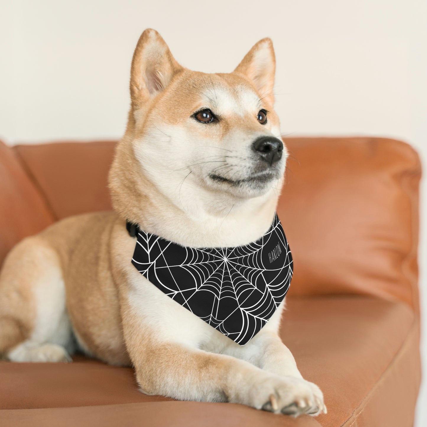 Personalized Goth Punk Spider Web Pet Bandana Collar