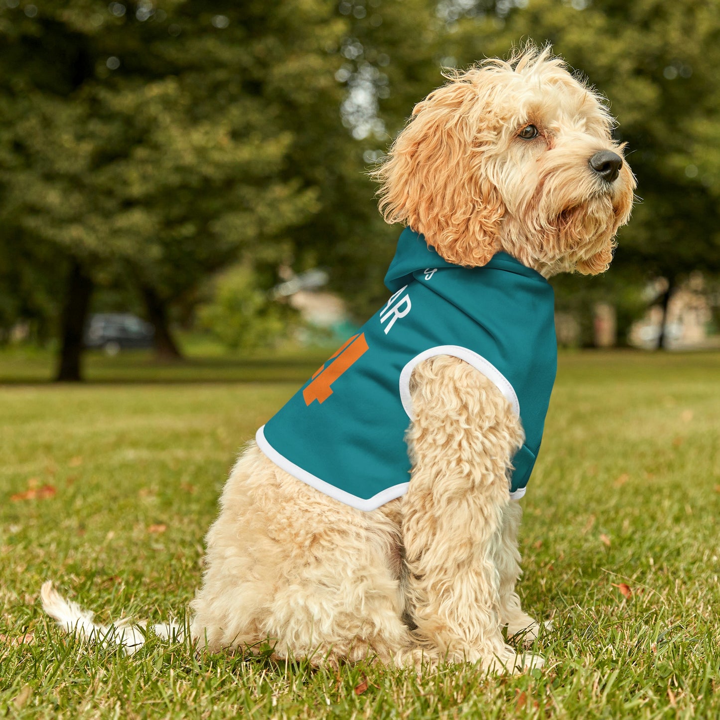 Personalized Miami Dolphins Pet Hoodie