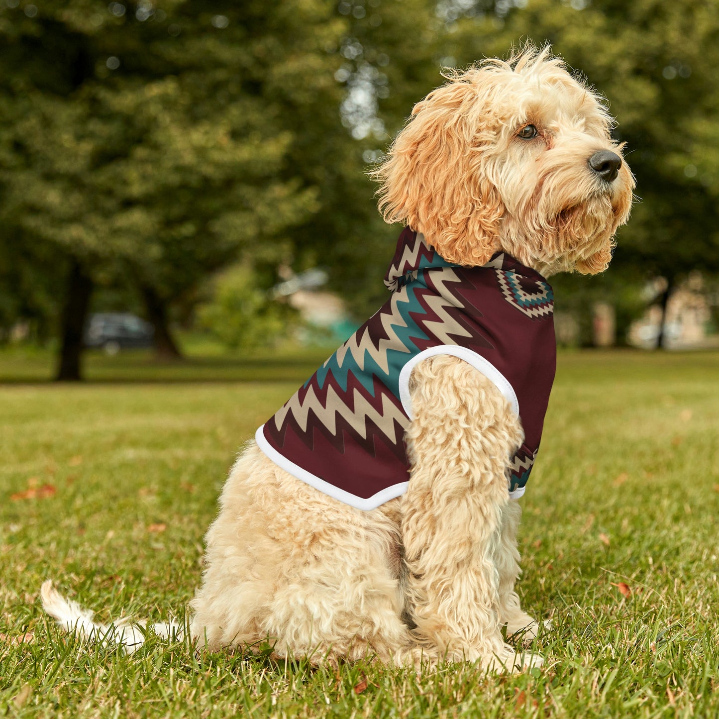 Personalized Western Boho Maroon Pet Hoodie